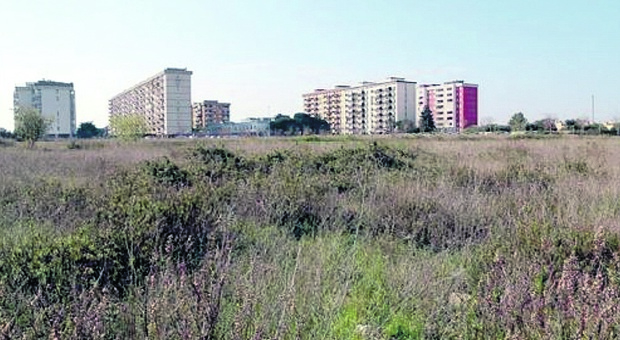 Bari, nasce il parco di Loseto: sei ettari di verde. La giunta approva il progetto finale