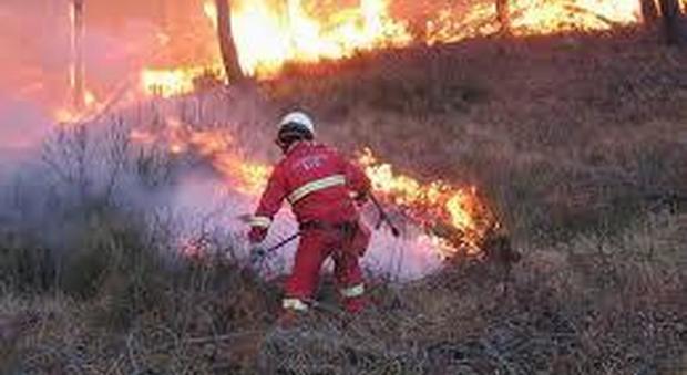 Emergenza incendi boschivi, bonifica nelle aree di Fosso Bianco