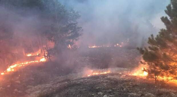 Incendio minaccia il Parco nazionale, popolazione in allarme