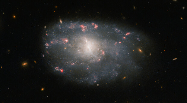 La galassia inquadrata da Hubble