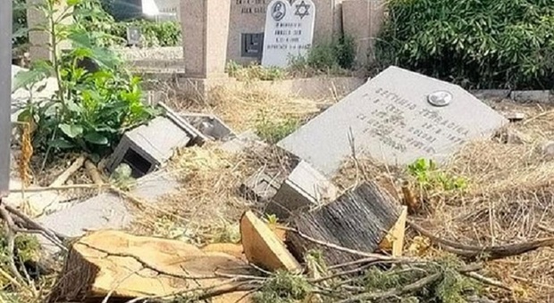 Degrado al Verano, tombe divelte, erbacce, tronchi di albero: situazione choc nel cimitero monumentale della capitale