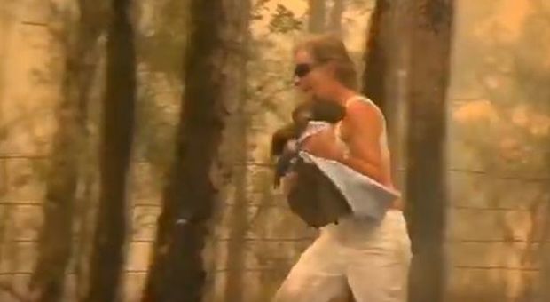 Vede un koala in difficoltà nel mezzo di un incendio, donna si getta tra i carboni per salvarlo