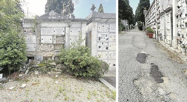 Ancona, l'App cerca i defunti e trova il caos: il cimitero di Tavernelle è un tunnel degli orrori