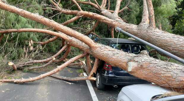 Pescara, tempesta di vento: tre feriti gravi per alberi abbattuti e cadute