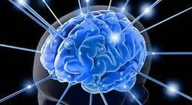 Alzheimer, gli scienziati studiano come far crescere il Cervello umano per curarlo