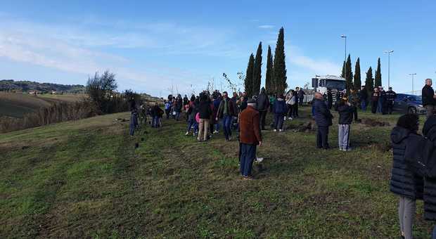 Vino Nobile di Montepulciano, parco di alberi donato alla comunità
