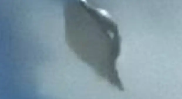 Ufo, un oggetto misterioso appare nel cielo e le immagini diventano virali VIDEO