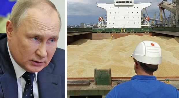 Putin, perché il ricatto del grano? Con lo stop all'export dall'Ucraina spettro rincari e carestie