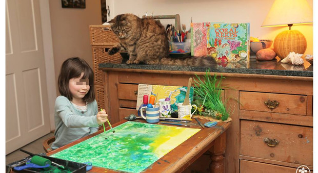 Iris Grace, 6 anni, bimba autistica salvata da un gatto: "L'aiuta a dipingere"