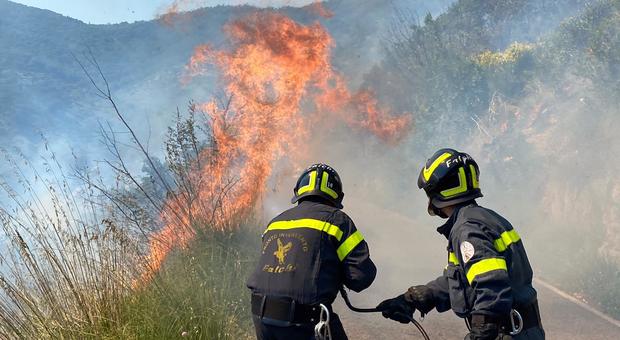 Devastante incendio alle Crocette: in fiamme il polmone verde di Fondi
