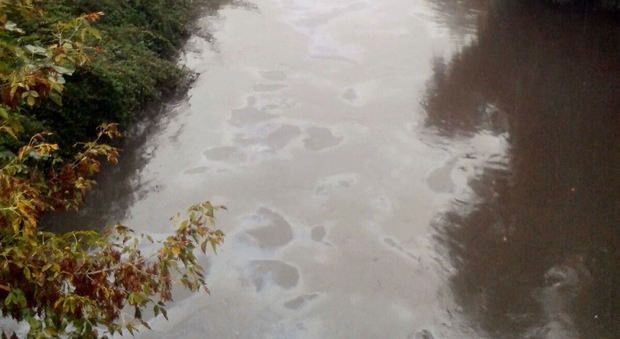 Le tracce di idrocarburi visibile sul fiume Retrone