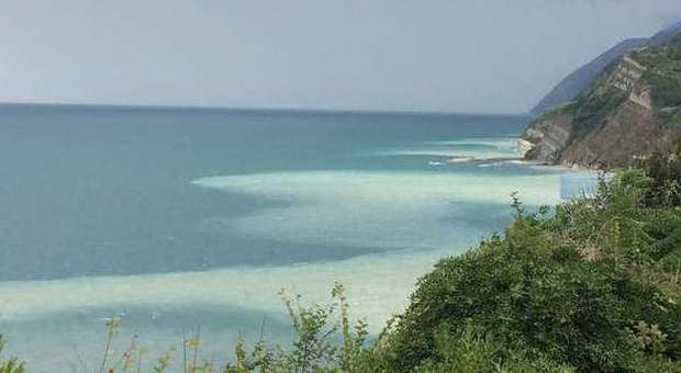 Ancona, alghe tossiche al Passetto Scatta subito il divieto di balneazione
