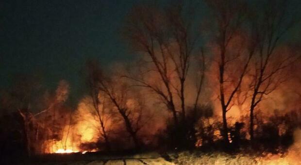 A fuoco il gran bosco dei Fontanassi: pompieri impegnati tutta la notte Foto