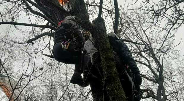 La vela del parapendista sospeso tra gli alberi di Borso del Grappa dopo la caduta
