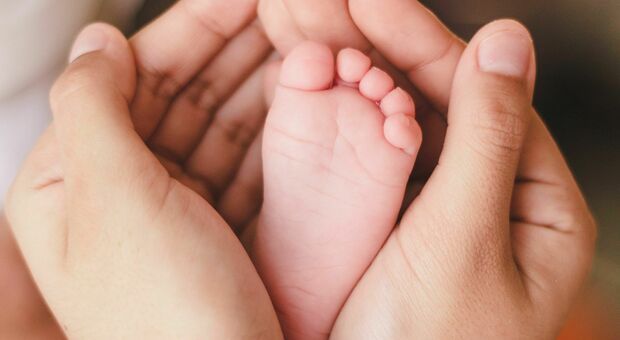 Cure palliative per neonati non disponibili nel Sud Italia, Sin: «Garantirla»