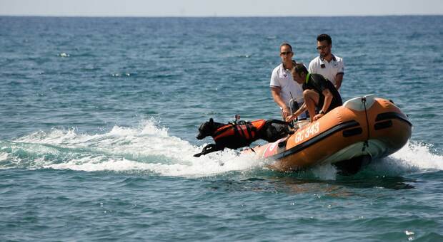 A Montalto la sicurezza in mare è il fiore all'occhiello del Lazio. L'esempio dei cani soccorritori