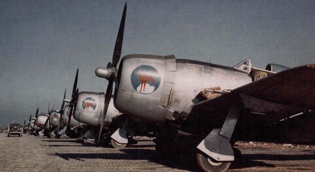 Uno squadrone di P-47: Andrew Freeborn precipitò con uno di questi aerei