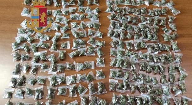 Controlli antidroga a Napoli: trovati 300 grammi di marijuana tra le frasche