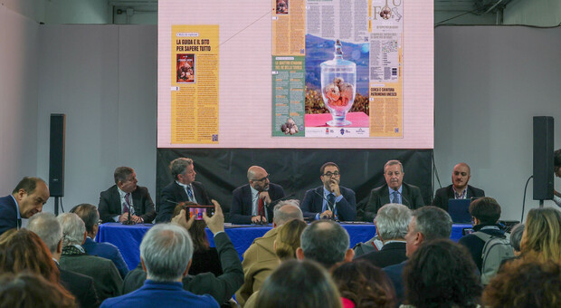 Nasce "L'Italia del tartufo": l'Umbria tra le regioni più attive nella promozione