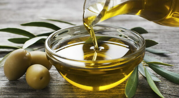 Prezzo dell'olio d'oliva alle stelle: +99,7% per l'extravergine, tra le cause: « Siccità e Xylella»
