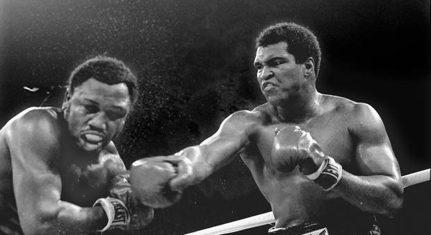 Muhammad Ali, le frasi celebri