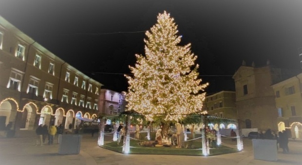 L'albero di Natale di San Severino Marche è il più bello della regione: dai social l'atteso responso