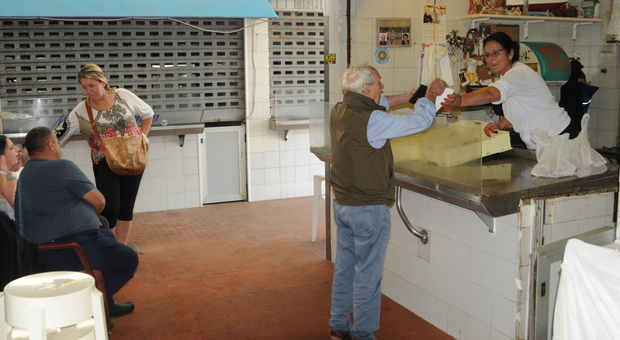 San Benedetto, crollo dei prezzi per calamari, triglie e seppie. La prima asta dopo il fermo porta tante sorprese