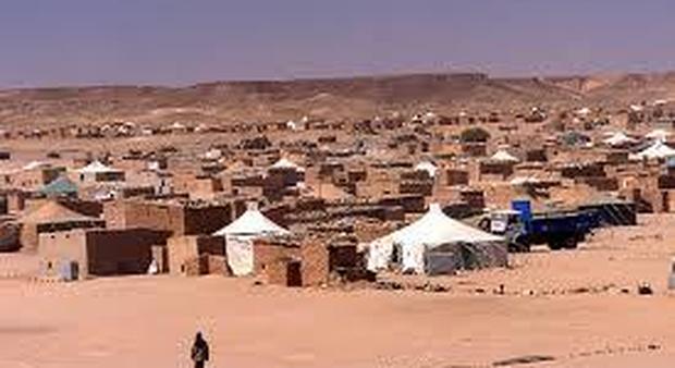 Allarme dall'Irepi: campi profughi in Algeria addestrano bambini