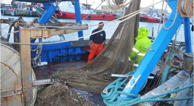 Fiumicino: un cassone pieno di plastica raccolta sul fondale marino dai pescatori spazzini