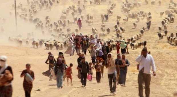 Siria, scoperta una fossa comune: ci sarebbero almeno 200 corpi