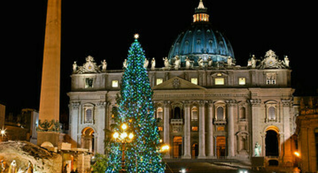 Vaticano, il Covid non ferma l'arrivo del grande albero di Natale abbattuto in Slovenia