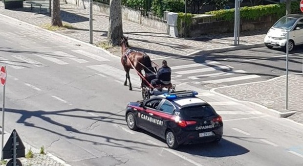 A spasso con il cavallo a Francavilla al Mare fermato e multato dai carabinieri