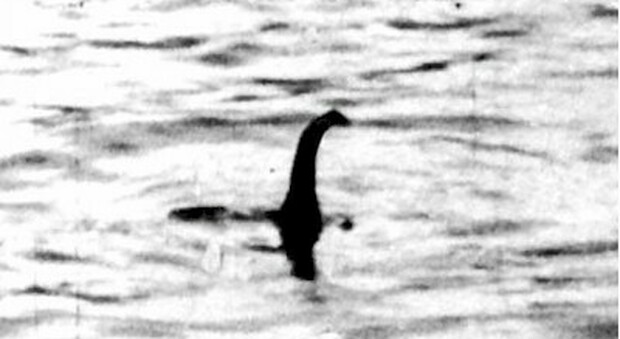 Mostro di Loch Ness, nuovo avvistamento: rivelato da un sonar, è lungo 4 metri