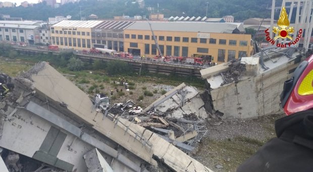 Cane estratto dalle macerie del crollo del Ponte Morandi: è vivo