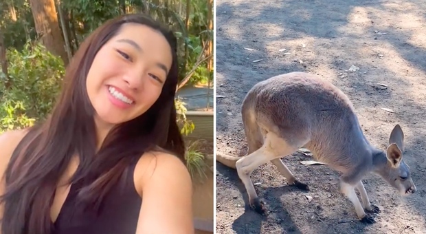 Influencer posta sui social un video del suo viaggio in Australia: «Noioso. Spiagge mediocri e città distanti. È stata una seccatura»