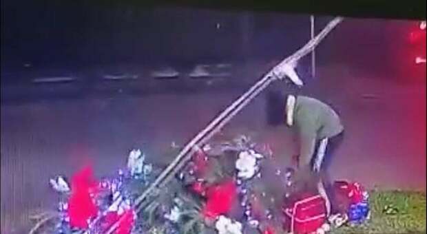 Marano, in tre sradicano un albero di Natale del commerciante: colletta per ricomprarlo