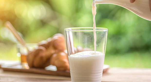 Carrefour, latte con pezzi di plastica nelle bottiglie in Francia: controlli in Italia