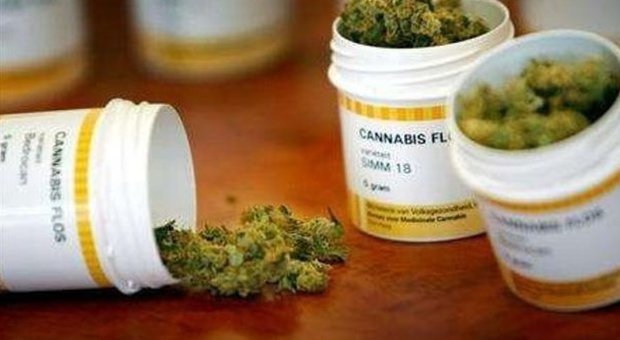 Niente cannabis per i malati: la Regione dice no all'uso terapeutico