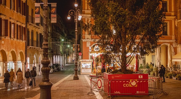 Natale in centro a Treviso, luminarie a ore: «Spente di notte per risparmiare»