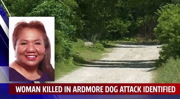 Mamma 52enne sbranata in strada dai 7 cani del vicino tenuti in stato di incuria