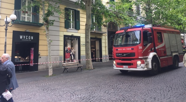 Alberi a rischio crollo al Vomero: vigili del fuoco in via Luca Giordano