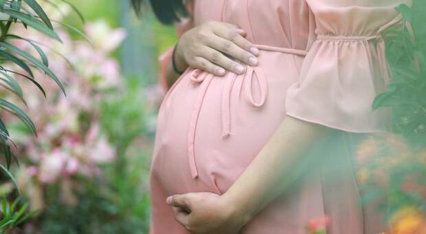 Vaccini Covid e donne in gravidanza, Raia: «Inseritele tra i soggetti fragili»