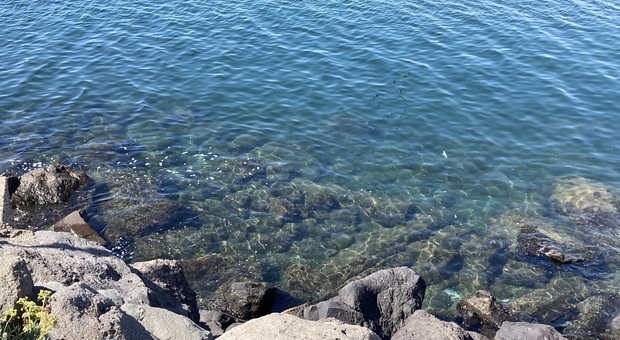 Napoli, acqua limpida ma boom di batteri a Pietrarsa: resta negato il mare di San Giovanni a Teduccio