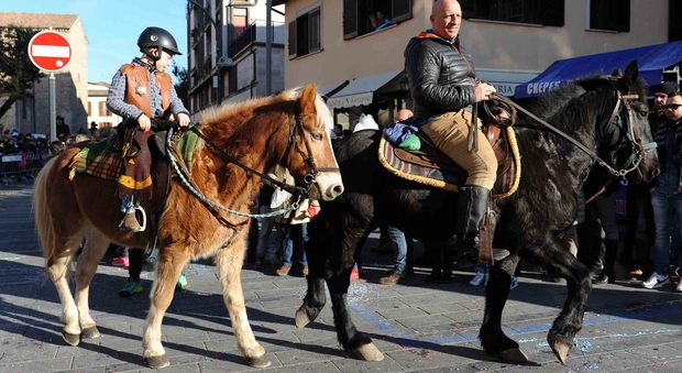 Cavalli Infiocchettati (Foto Cosentino)