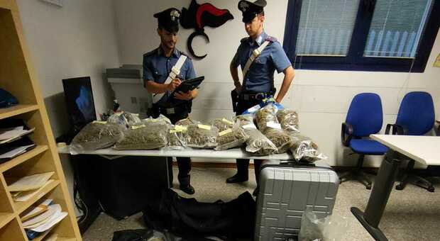 I carabinieri hanno trovato 25 chili di marijuana