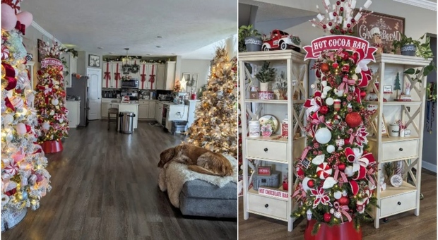 Ha 26 alberi di Natale in casa: «Ci metto 3 mesi a prepararli, tutte le decorazioni accumulate in 22 anni»