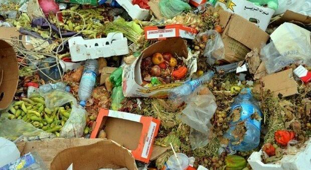 Onu, Coldiretti: nel mondo sprecato quasi 1 miliardi di tonnellate di cibo