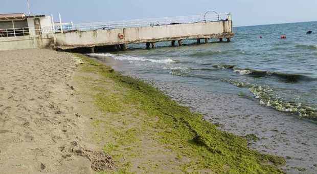 Mare torbido, mucillagine e alghe: bagnanti in fuga e lidi in crisi nel Salernitano