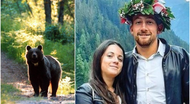 Andrea Papi ucciso dall'orso, la ragazza Alessia Gregori: «Ragazzo d'oro, quando usciva scherzava "spero di non incontrare un orso"