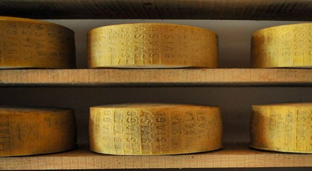 Il formaggio Asiago sarà protagonista di una campagna di promozione delle eccellenze europee in Giappone